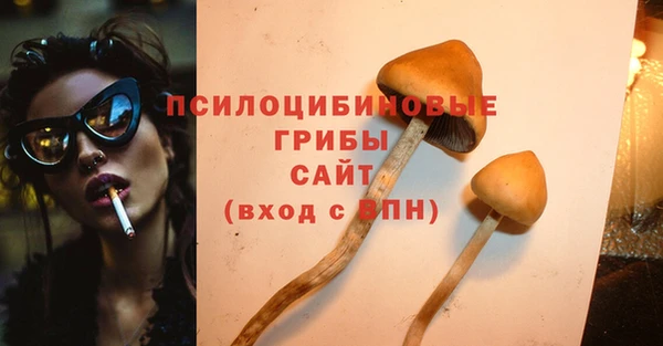 твердый Бронницы