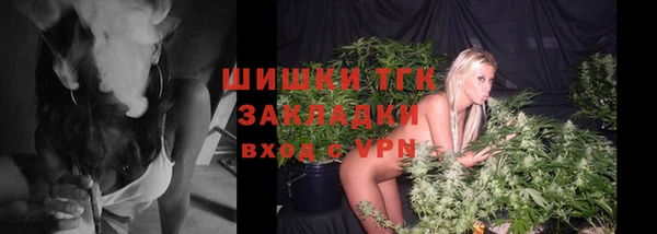 твердый Бронницы