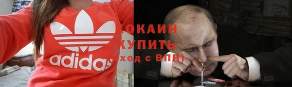 твердый Бронницы