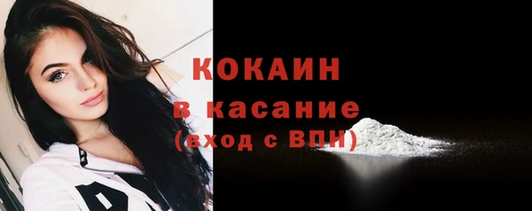 стафф Бородино