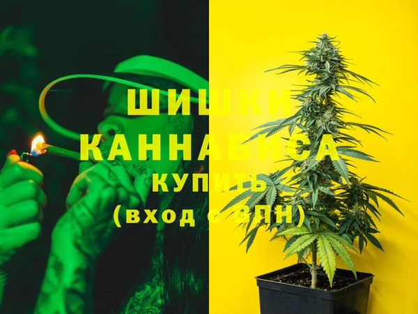 стафф Бородино