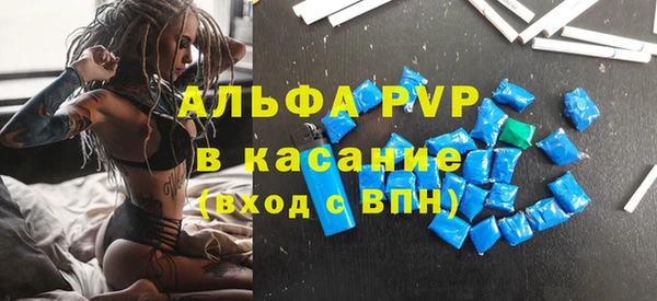 стафф Бородино