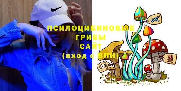 твердый Бронницы
