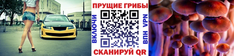 OMG ссылка  где найти наркотики  Армавир  Галлюциногенные грибы Cubensis 